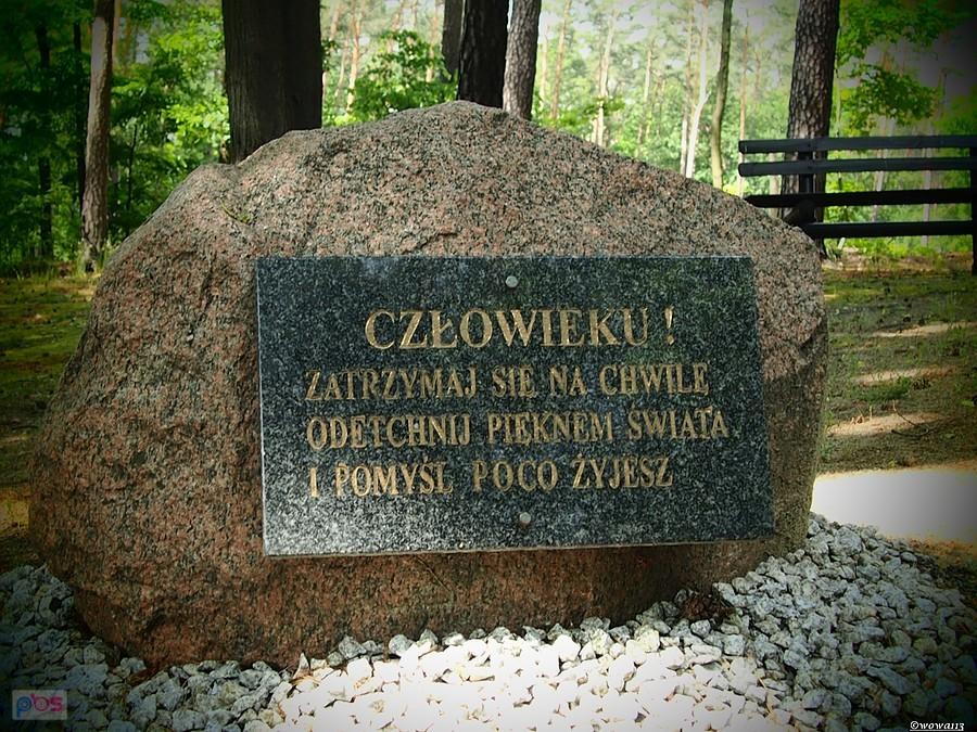 Motto na dziś?