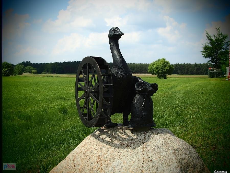 Gąska Franc