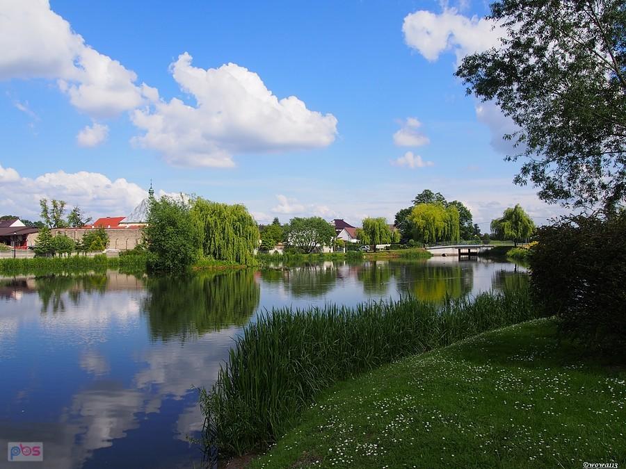 Staw kościelny