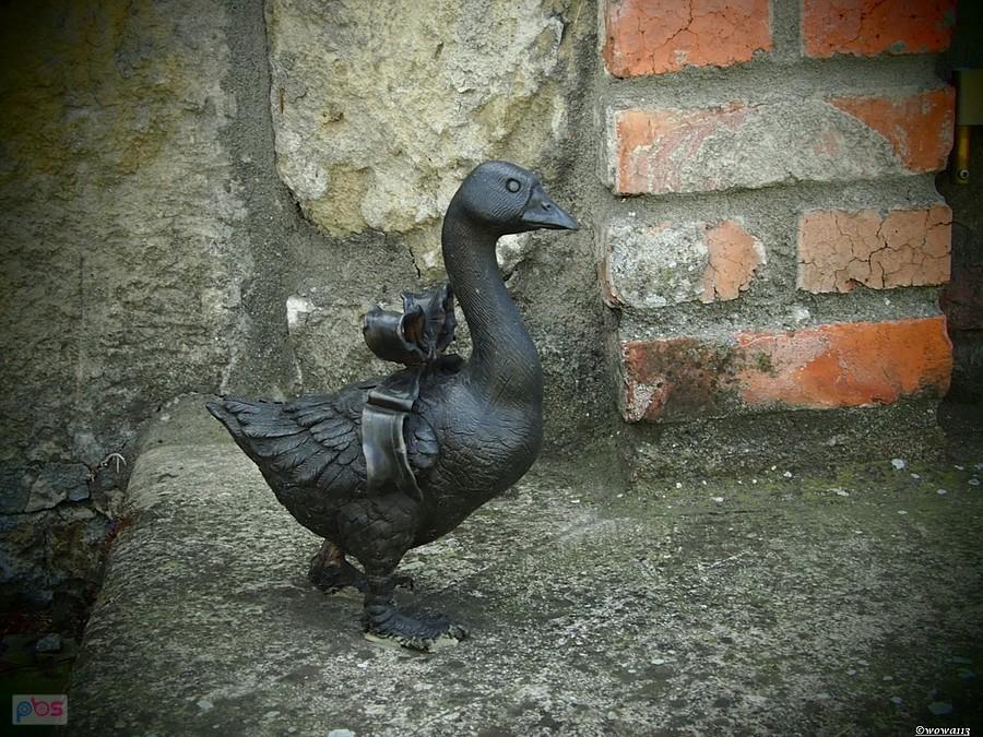 Agrypina
