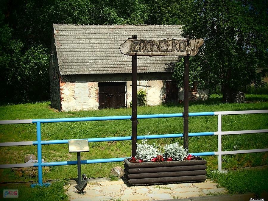 Niestety wyschło