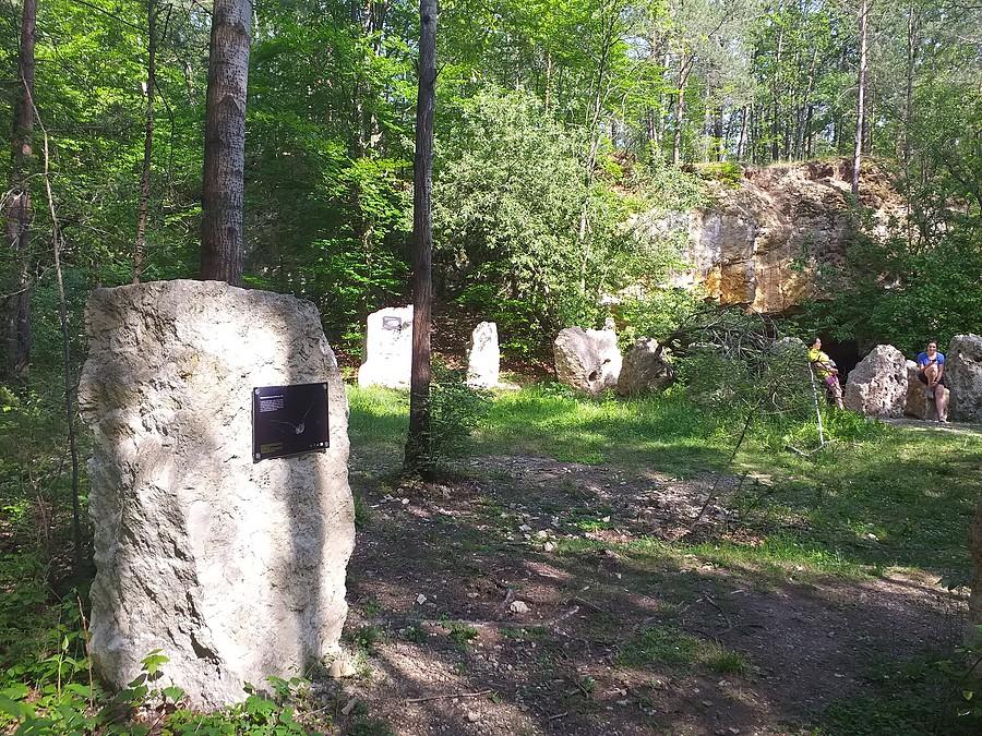 Rezerwat Szachownica