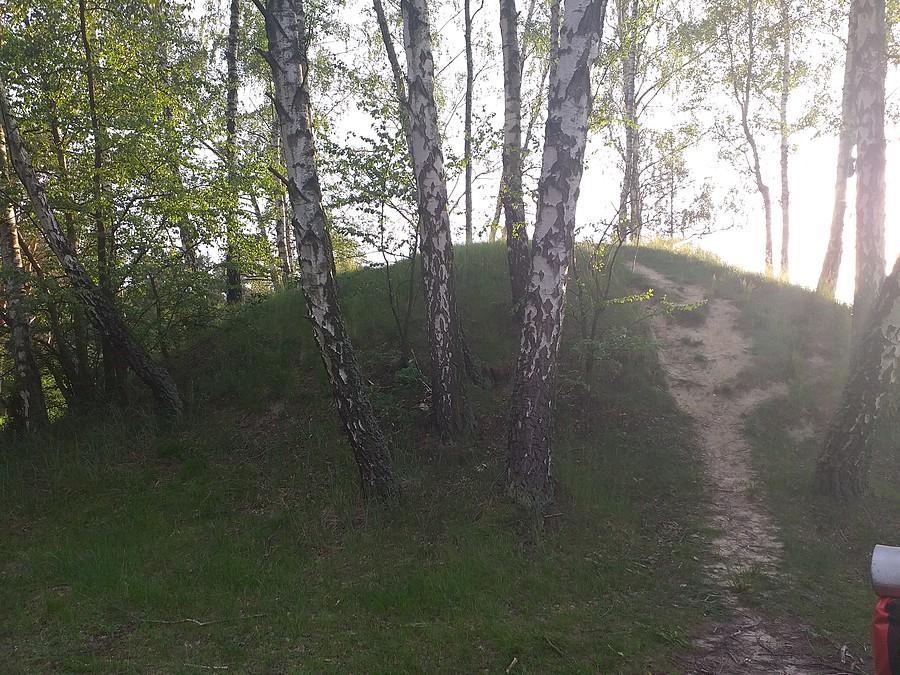 Kurhany książęce w Przywozie