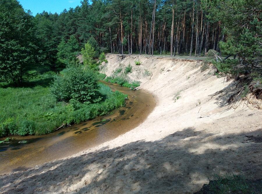 Zakole Kocinki