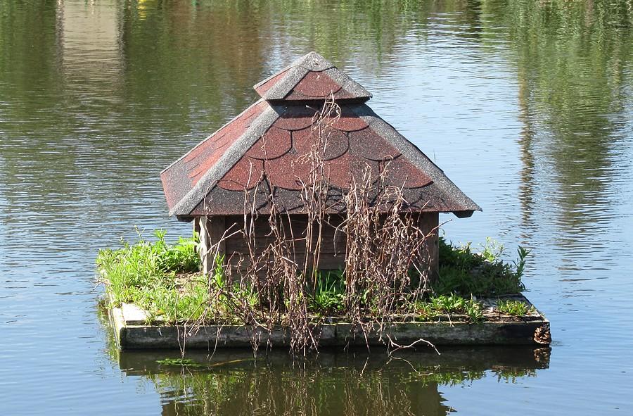 Domek, prawdopodobnie dla ptaków. Chętnych nie przyuważono :), Więckowice