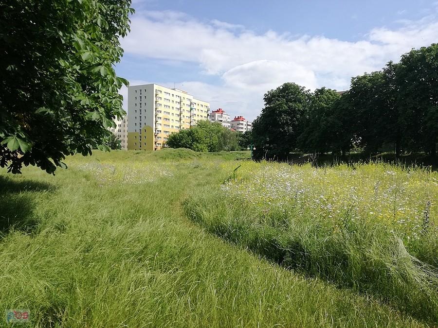 Fort korotyńskiego został zagospodarowany jako teren parkowy, szkoda,że w imię nowej religii ekologicznej trawy nie są koszone.