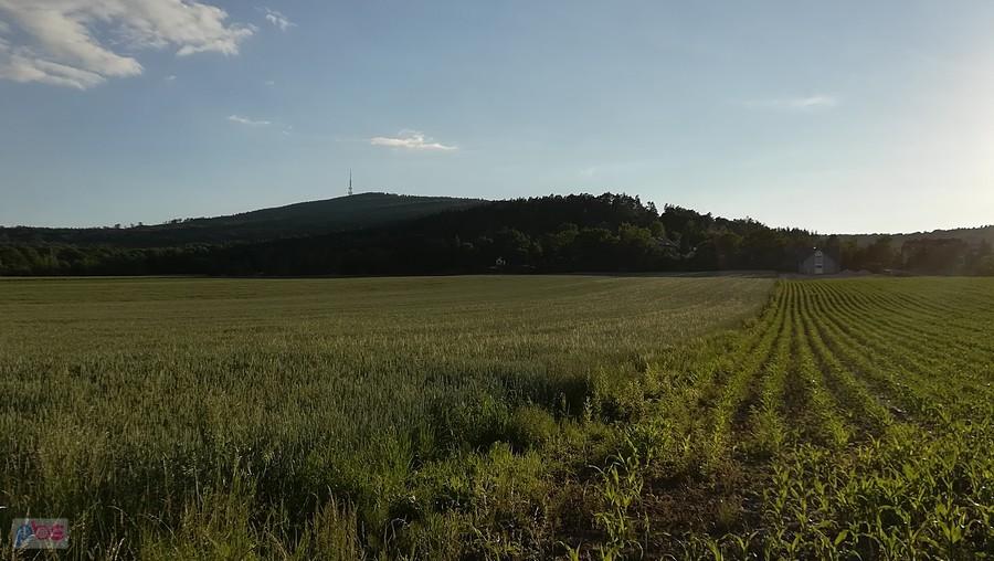 Ślęża od strony Strzegomian