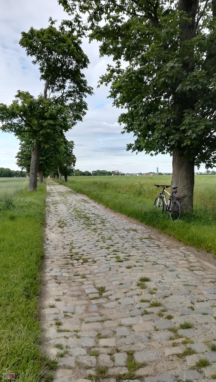 Brukowa droga w kierunku Zybiszowa