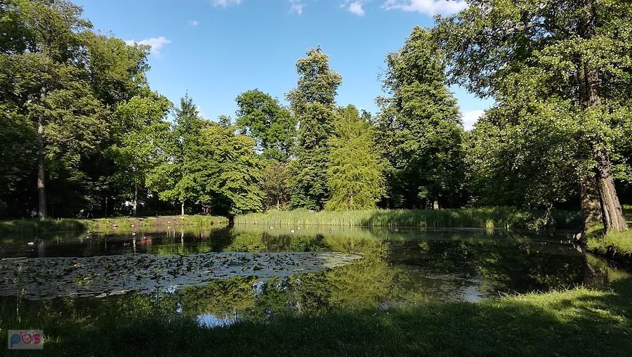 Staw w Parku Brochowskim