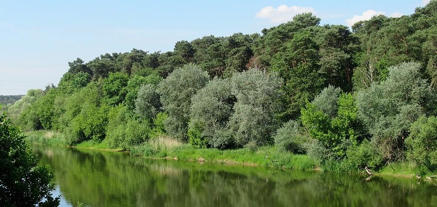 Nadwarciańskie spojrzenie na Wielkopolski Park Narodowy