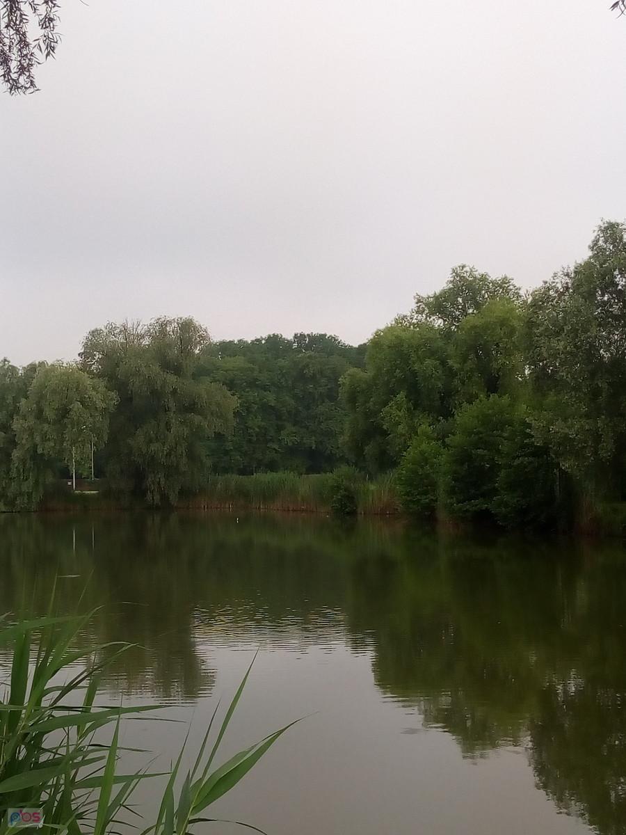 Staw w Zielonkach