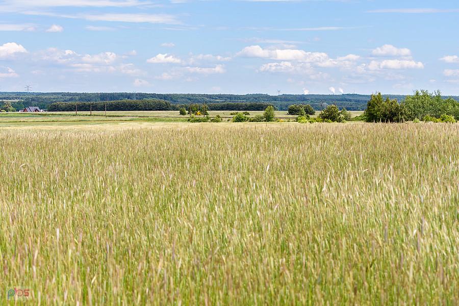 Annolesie - widok w kierunku elektrowni w Bełchatowie