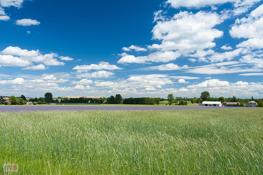 Widok w kierunku bełchatowskiej kopalni -Łukomierz