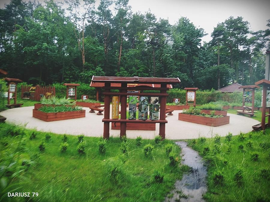 Park miejski w Siewierzu