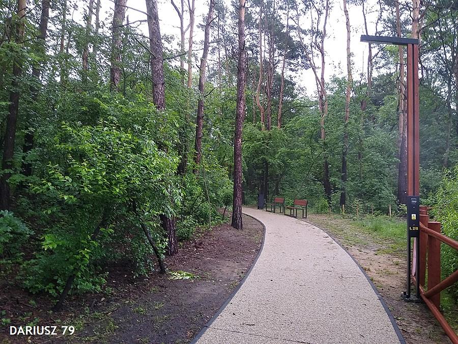 Park miejski w Siewierzu