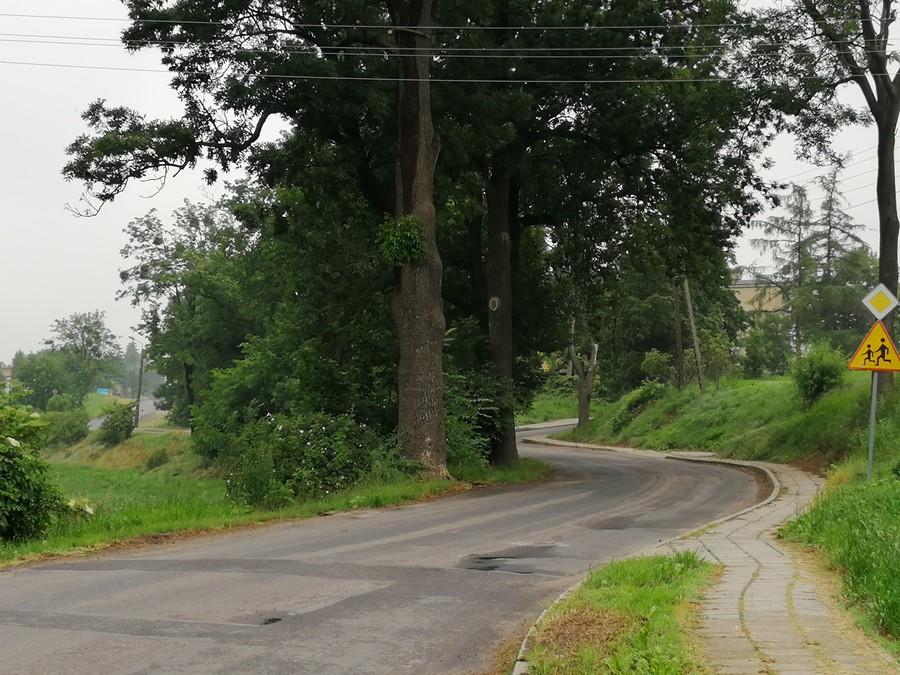 A tutaj zamyślony nieudanym atakiem fotograficznym na Myszołowa, wybrałem niewłaściwy zakręt.
