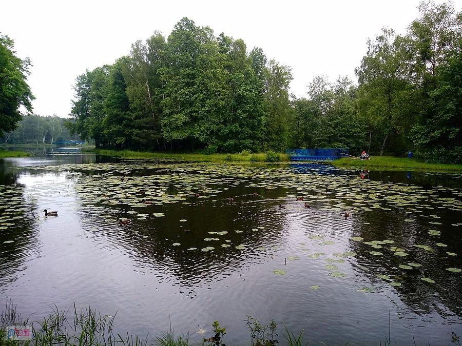 Stary Zalew w tarnogórskim Pniowcu