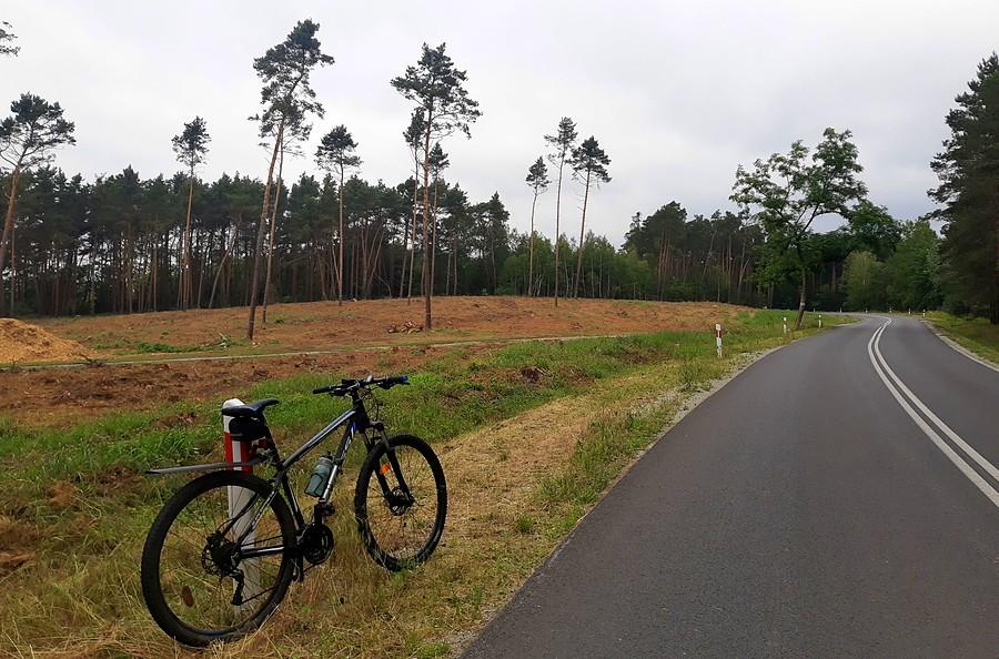 Kolejne miejsce, gdzie BYŁ las :/ - Trójkolne Młyny