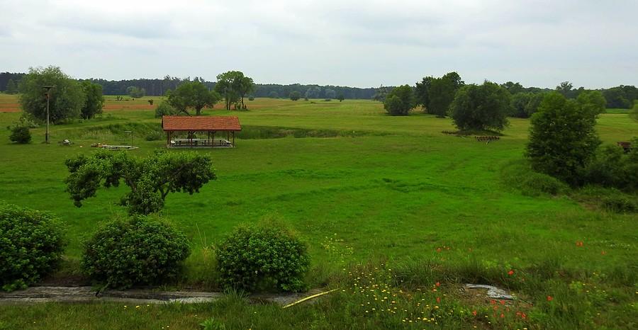 Ostatnie spojrzenie z tarasu na wielkopolskie łąkowe klimaty - Radzewice