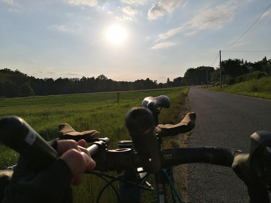 Słońce nad lasem jarocińskim.