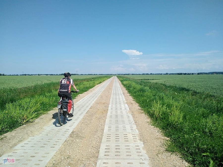 Żuławy malborskie