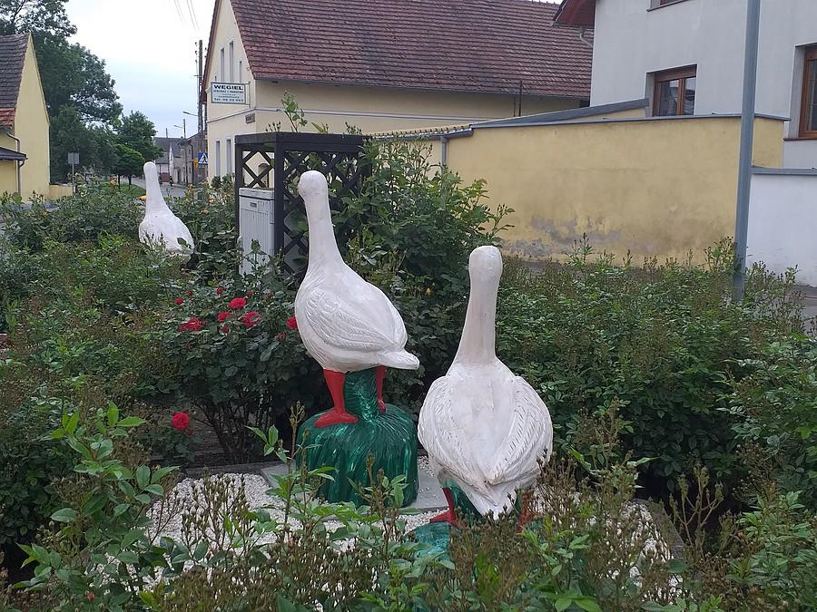 Gąsiorowice rewelacja!