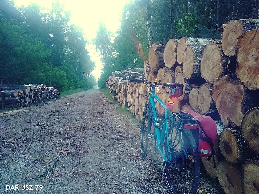 Dąbrowa Górnicza - Antoniów