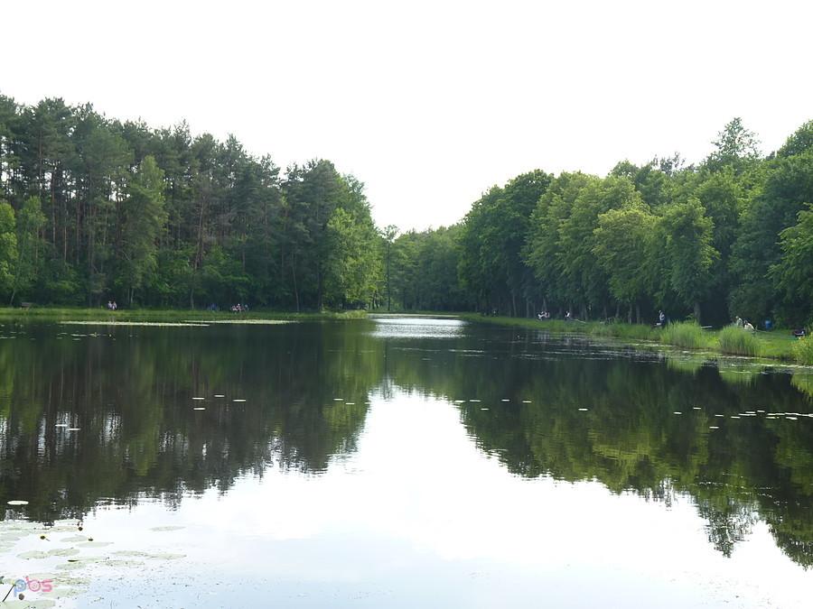 pod nosem i takie piękne widoki