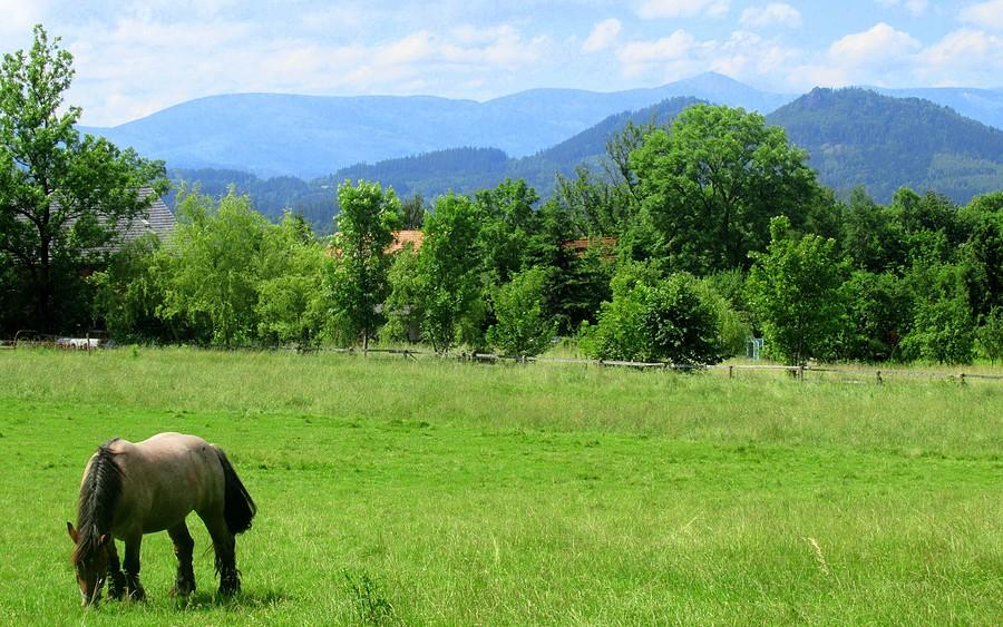 Landszaft z koniem na Cycowisku :), Rudawy Janowickie