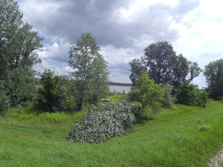 Wisła z wału