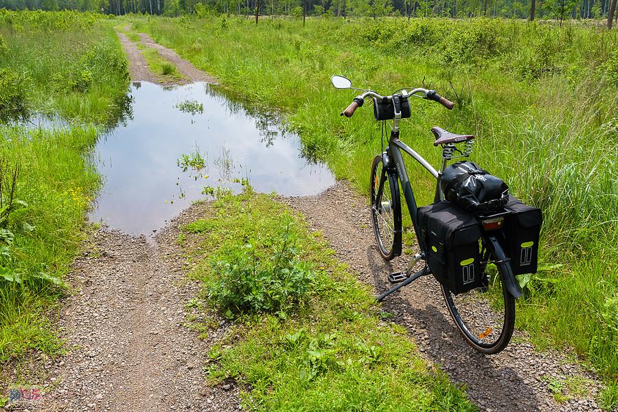 Głęboką kałużę na drodze udało się obejść dawnym nasypem wąskotorówki z prawej strony, jednak nie było łatwo wpakować tam załadowany rower.