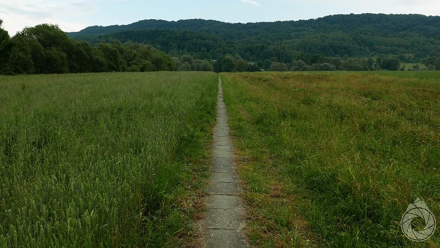 mini-chodnik przez łąkę nad Wisłok