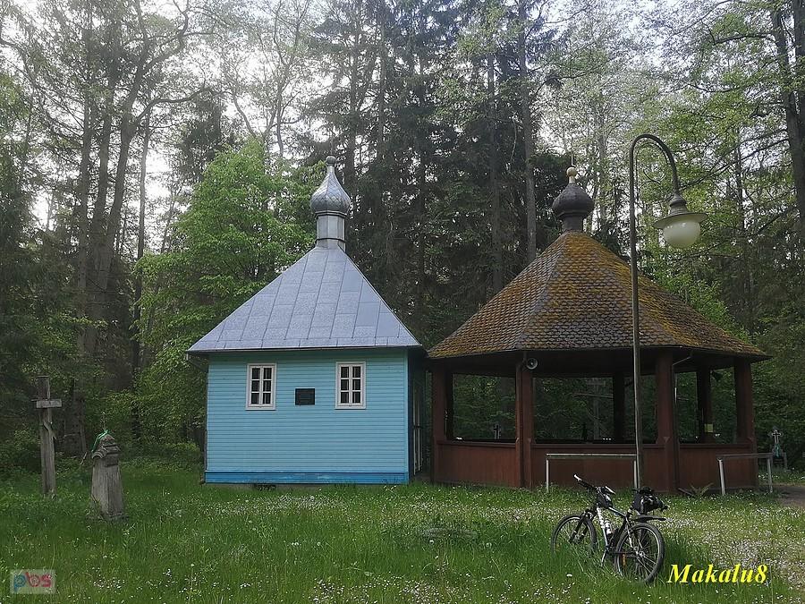 Krynoczka