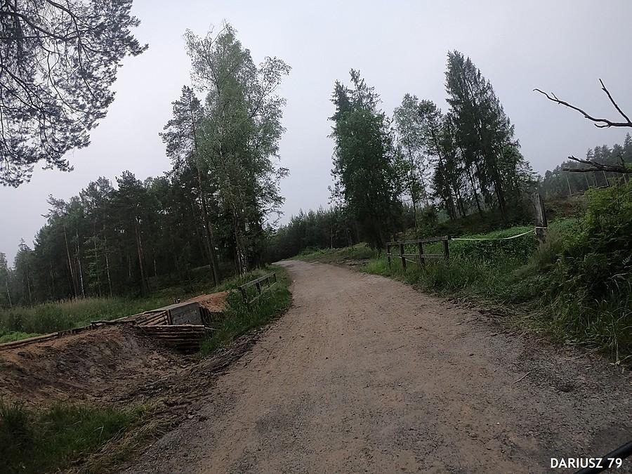 Puszcza Dulowska