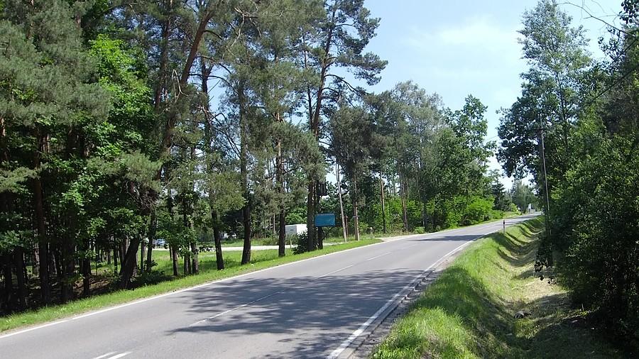 Miejsce tragicznej śmierci Pana Borsuka i wiecznego spoczynku