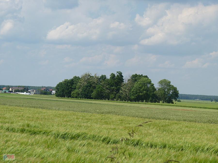 tam jest kirkut