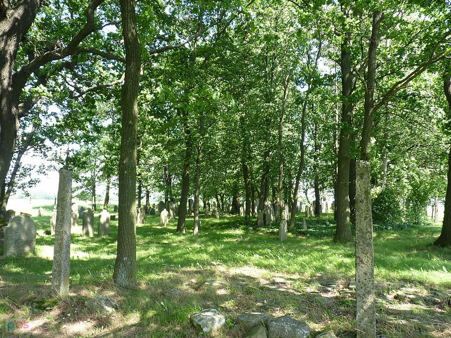 kirkut