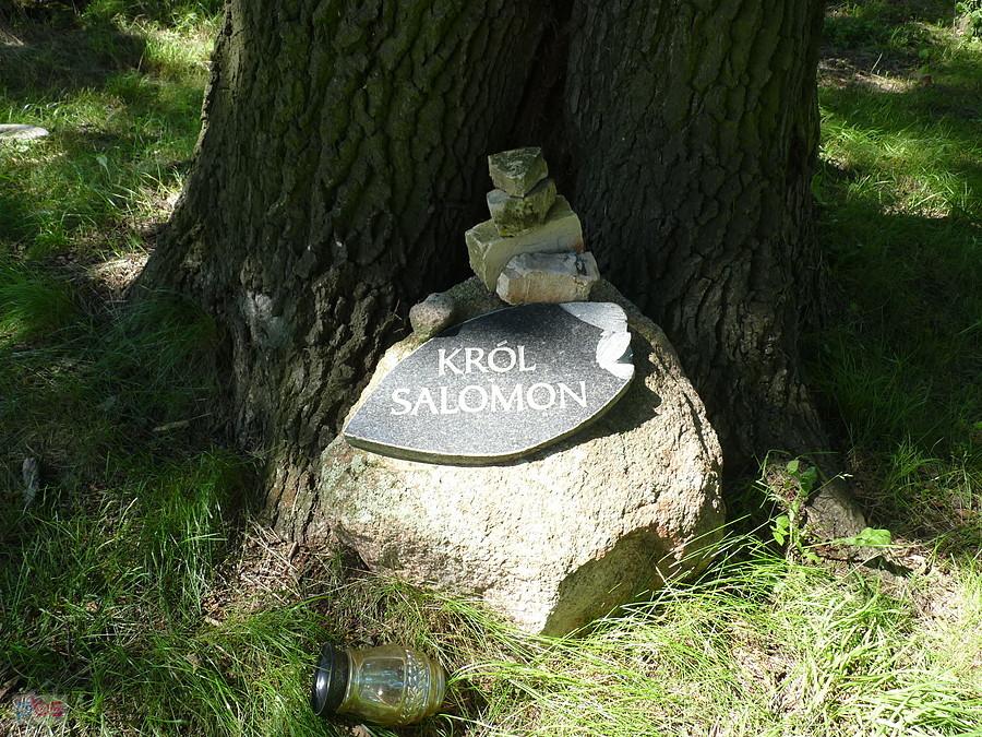 pomnik przyrody-Król Salomon