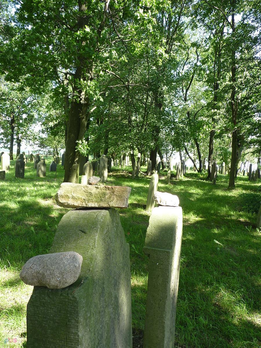 kirkut