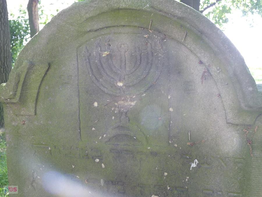 fragment macewy