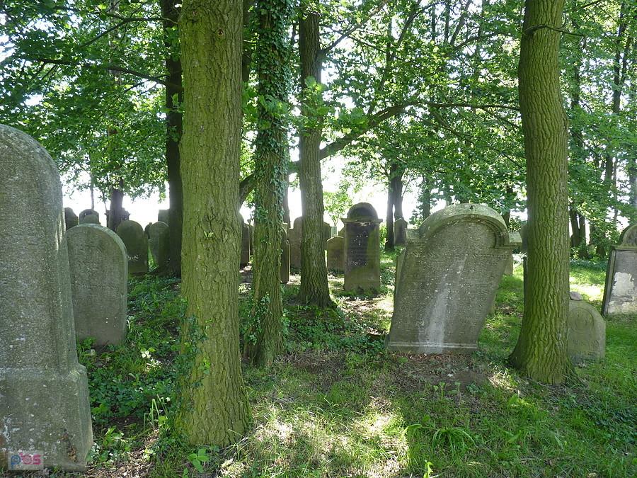 klimatycznie
