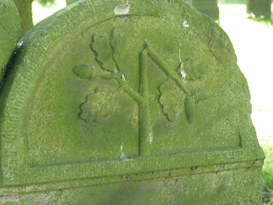 fragment macewy