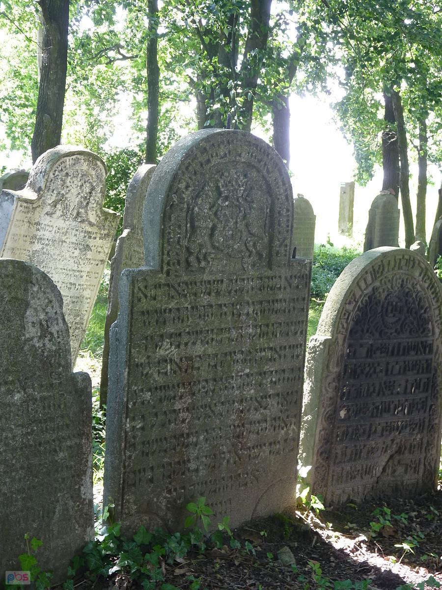 macewy