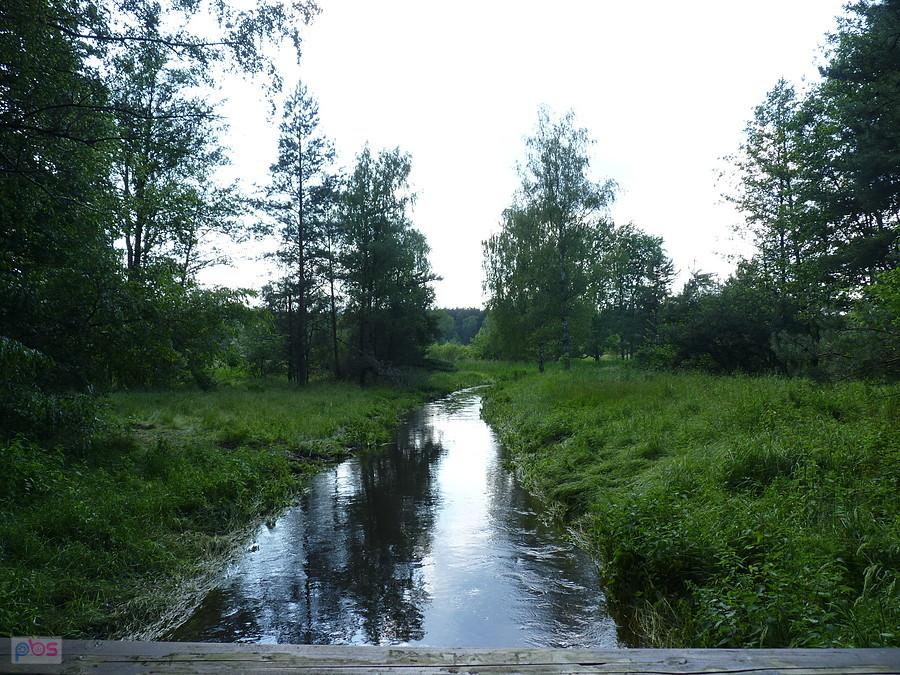 Stoła się rozlała