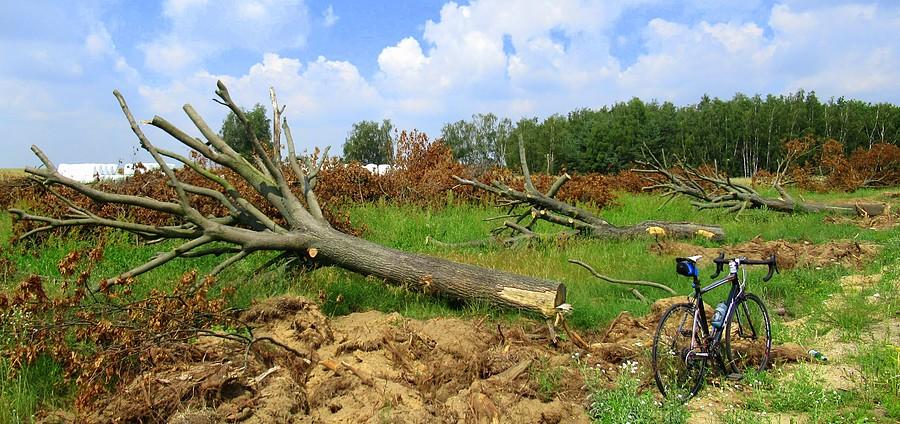 Ten widok wciąż boli, tym bardziej, że to pod kretyńską DDR-kę, trasa Mosina - Stęszew