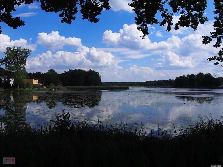 Zielona Dolna