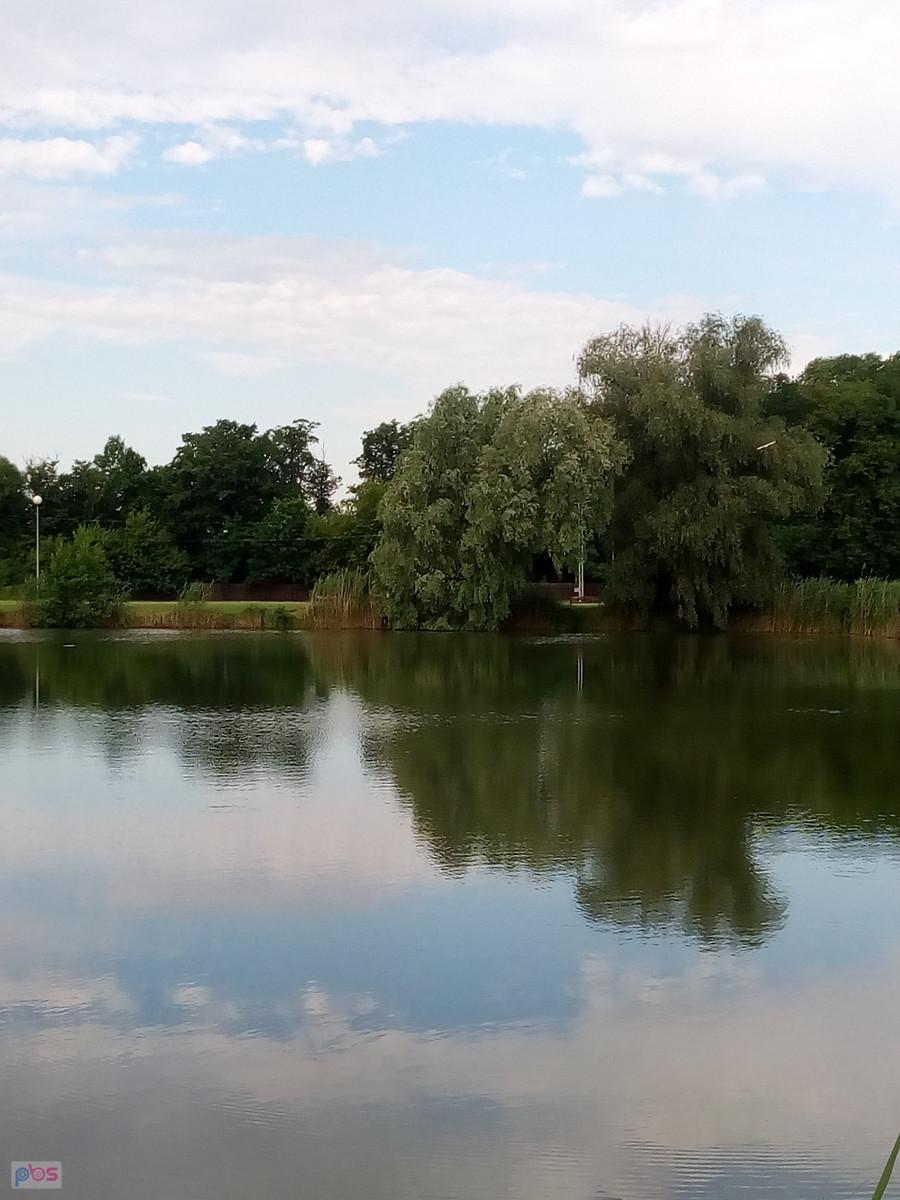 Obowiązkowy staw