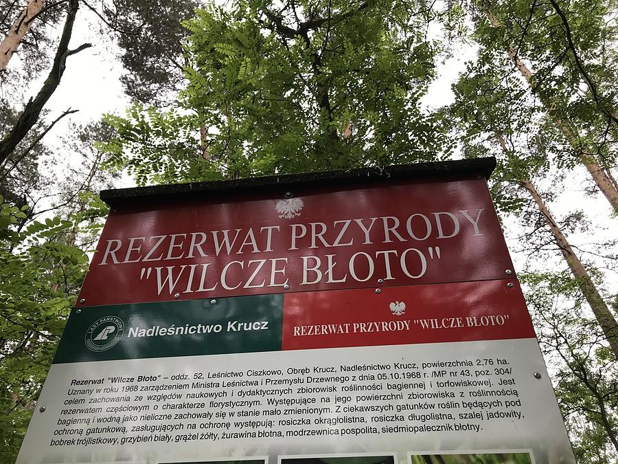 Wilcze Błoto