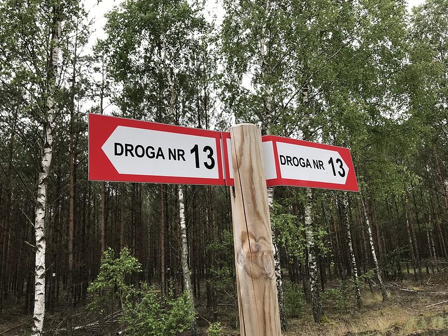 Droga Nr 13 - Puszcza Notecka