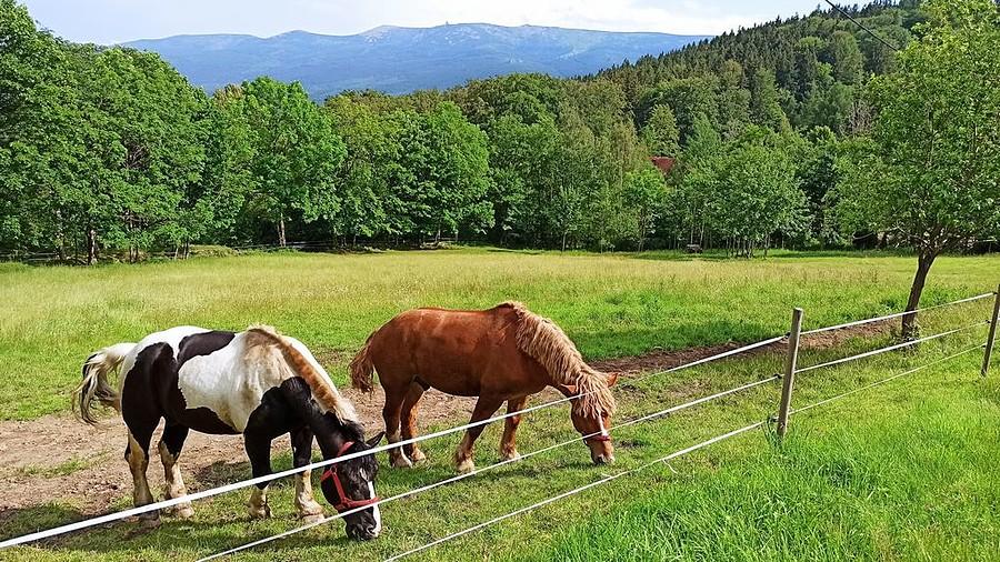 Klimaty z widoczkiem na Karkonosze